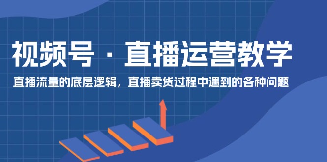 （11687期）视频号 直播运营教学：直播流量的底层逻辑，直播卖货过程中遇到的各种问题-聊项目