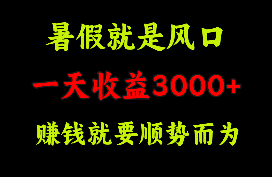 （11670期）一天收益3000+ 赚钱就是顺势而为，暑假就是风口-聊项目