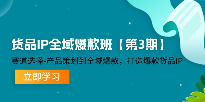 货品IP全域爆款班【第3期】赛道选择、产品策划到全域爆款，打造爆款货品IP-聊项目