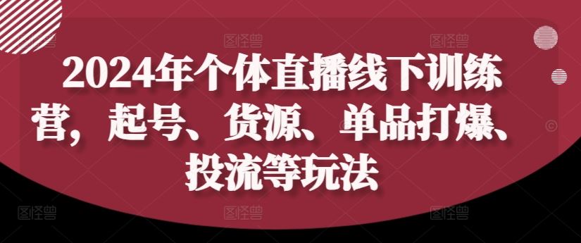 2024年个体直播训练营，起号、货源、单品打爆、投流等玩法-聊项目