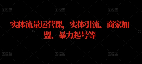 实体流量运营课，实体引流、商家加盟、暴力起号等-聊项目