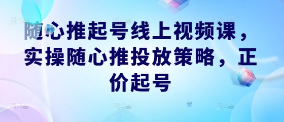 随心推起号线上视频课，实操随心推投放策略，正价起号-聊项目